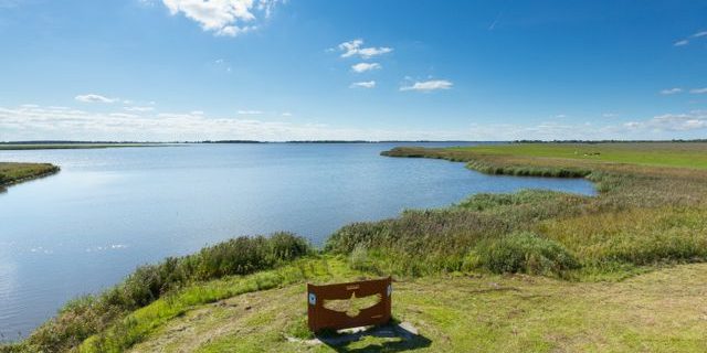 bord-zeearend-lauwersmeer-2