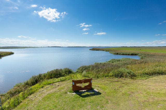 bord-zeearend-lauwersmeer-2
